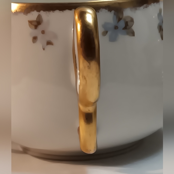 Limoges France BAWO & DOTTER Cup and Saucer - Picture 9 of 14